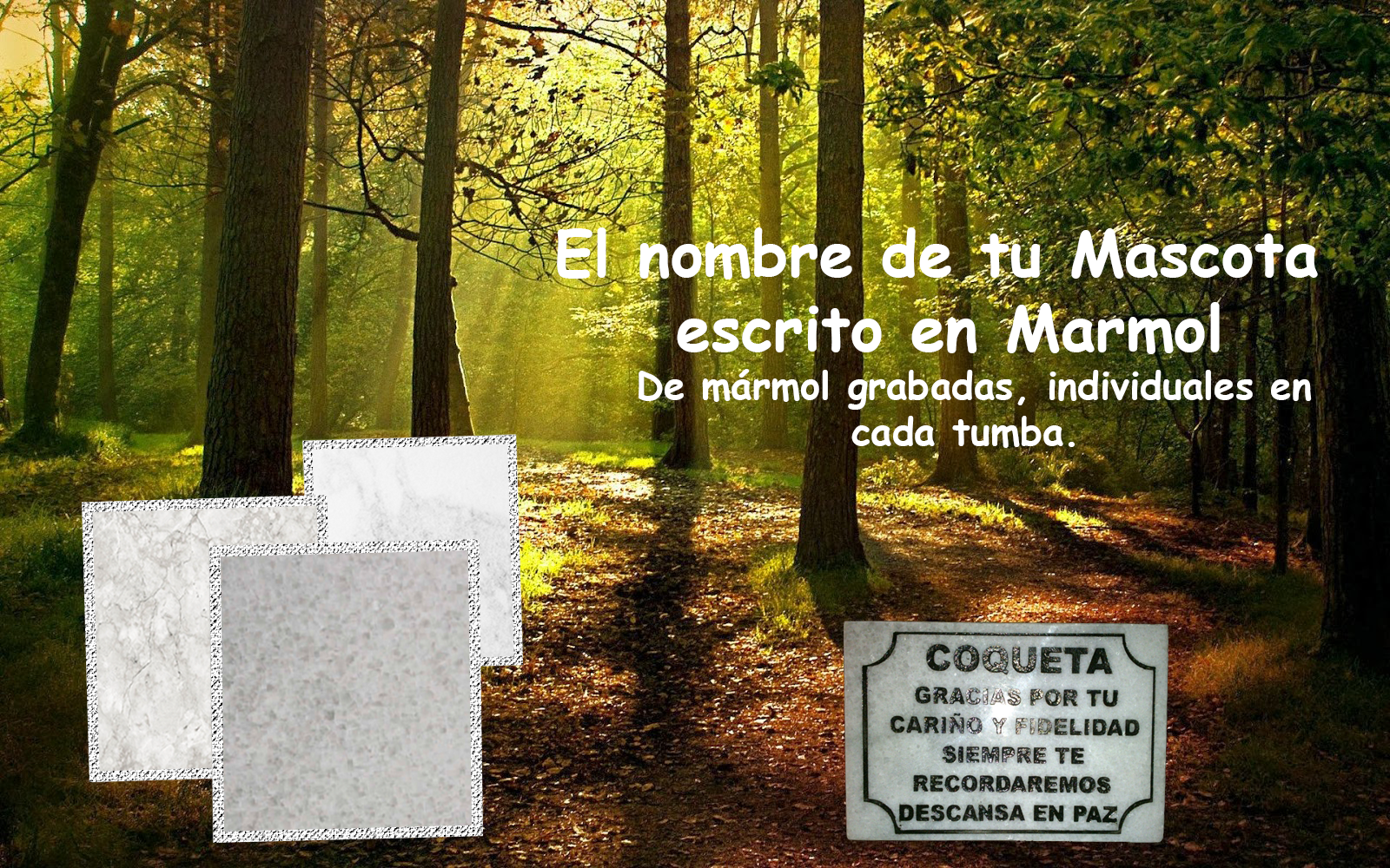 arbol
